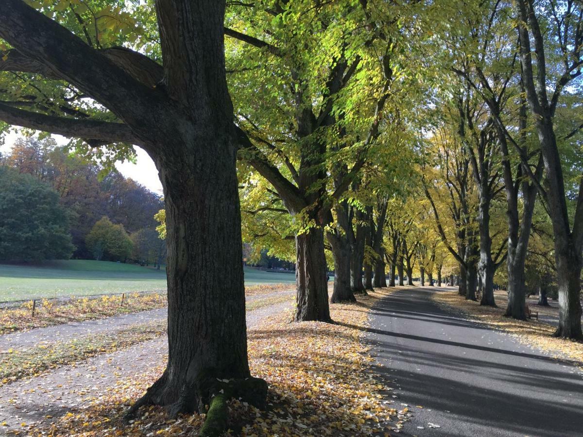 Suite Mit Blick Auf Die Lichtentaler Allee Baden-Baden Dış mekan fotoğraf